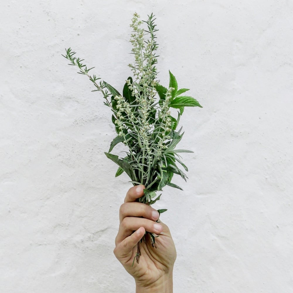 Food Sage Icon